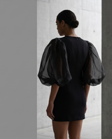 Puff Sleeve Mini Dress
