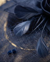 Chapeau bleu plume