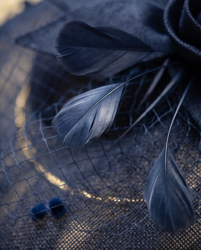 Chapeau bleu plume