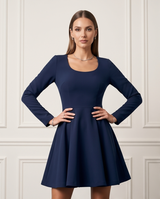 Blue skater dress 