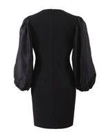 Puff Sleeve Mini Dress