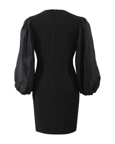 Puff Sleeve Mini Dress